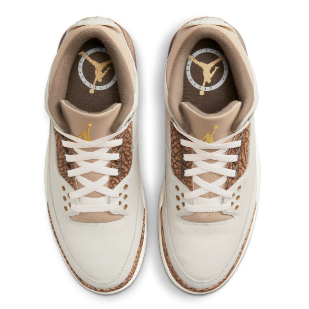 Air Jordan 3 Retro 'Palomino' | Warm Terrain CT8532-102