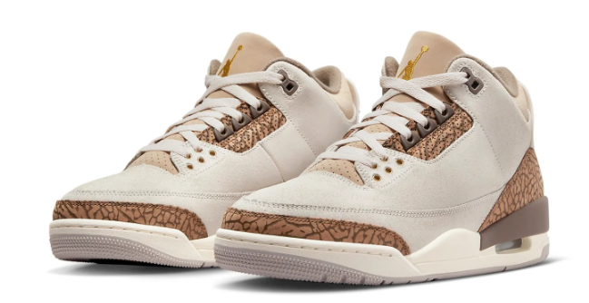 Air Jordan 3 Retro 'Palomino' | Warm Terrain CT8532-102
